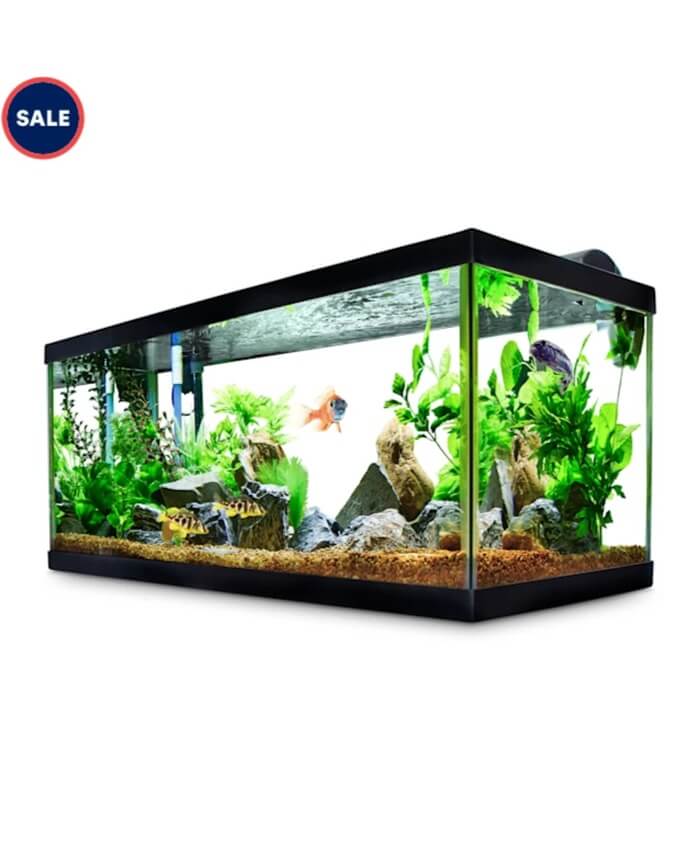 Aqueon Standard Glass Aquarium Tank 40 Gallon Breeder